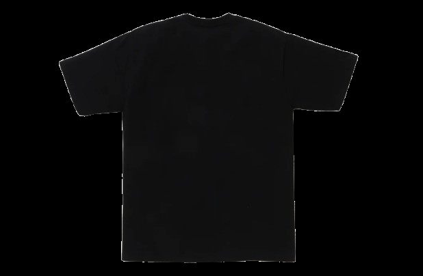 COLOR CAMO MILO ON BUSY WORKS TEE